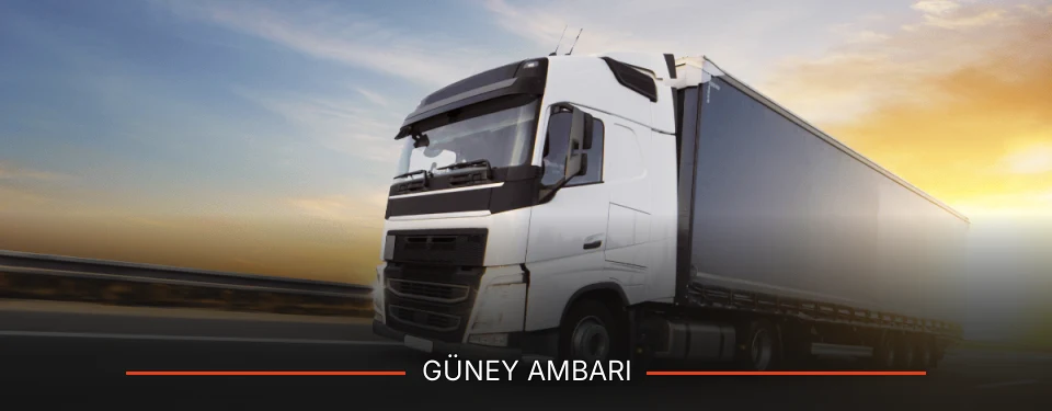 Güney Ambarı